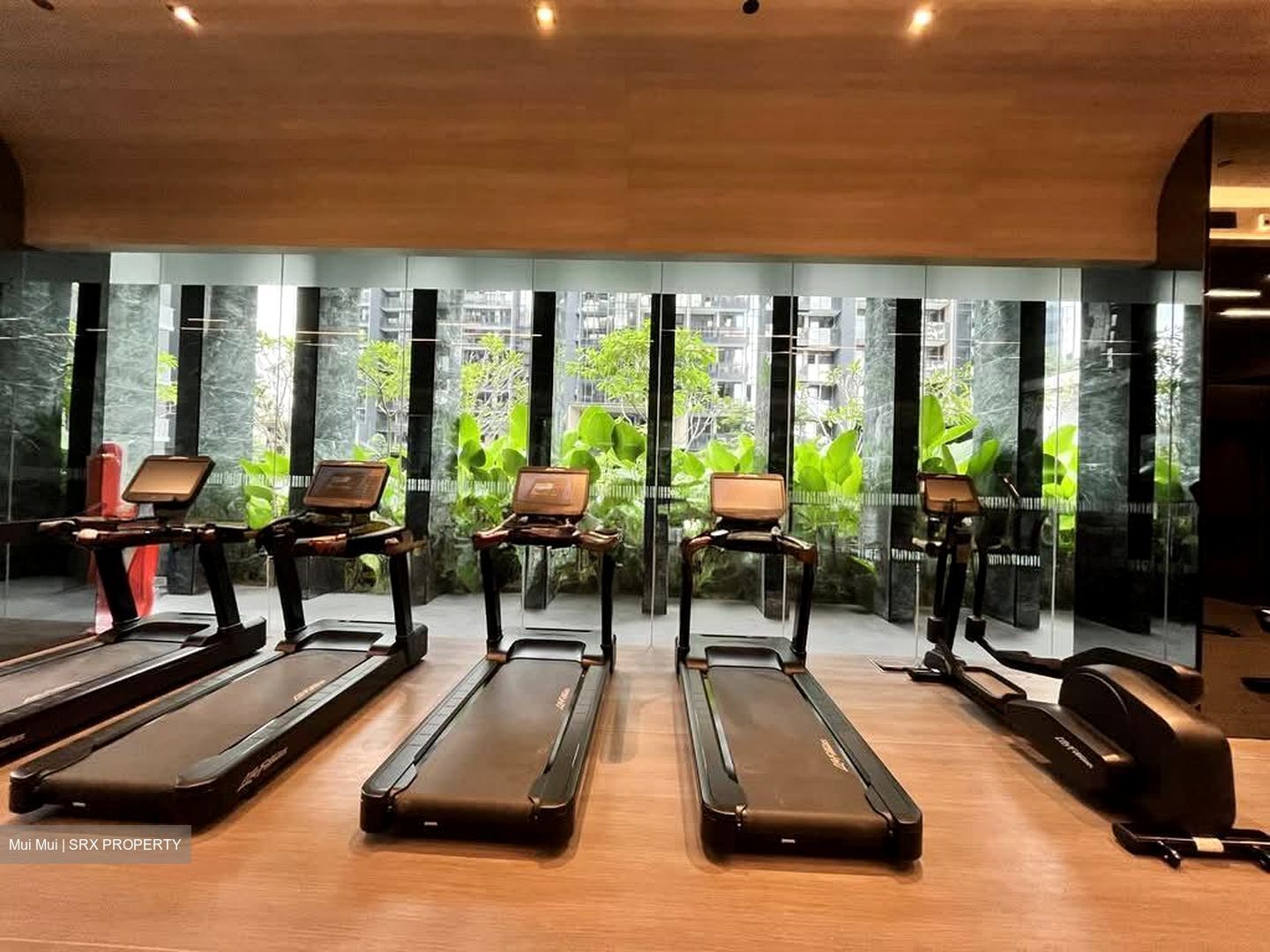 Leedon Green (D10), Condominium #539276711